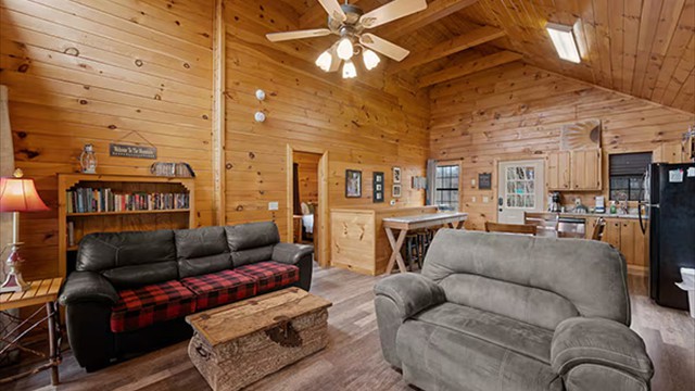 living room3