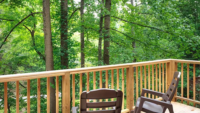 the wooded view from the deck