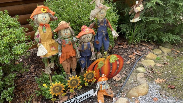 Autumn Greetings