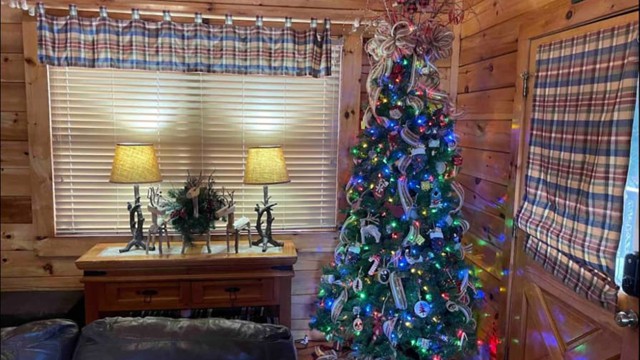 Christmas tree in the living room