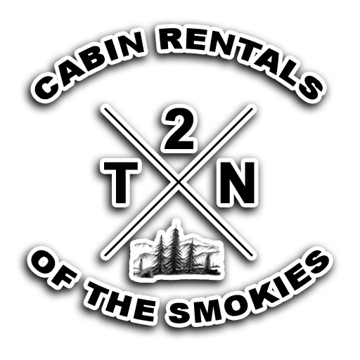 2TN logo
